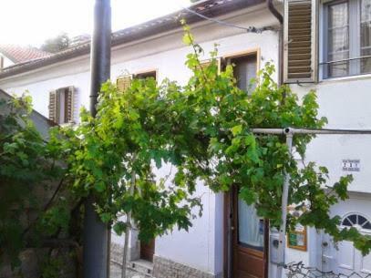 B&B Al Ferdinandeo Trieste Esterno foto
